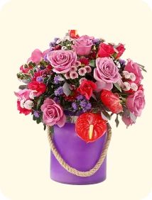 ANTHURIUM
