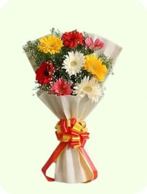 GERBERA