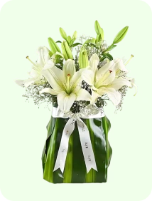LILY