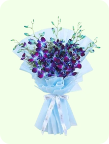 ORCHIDS