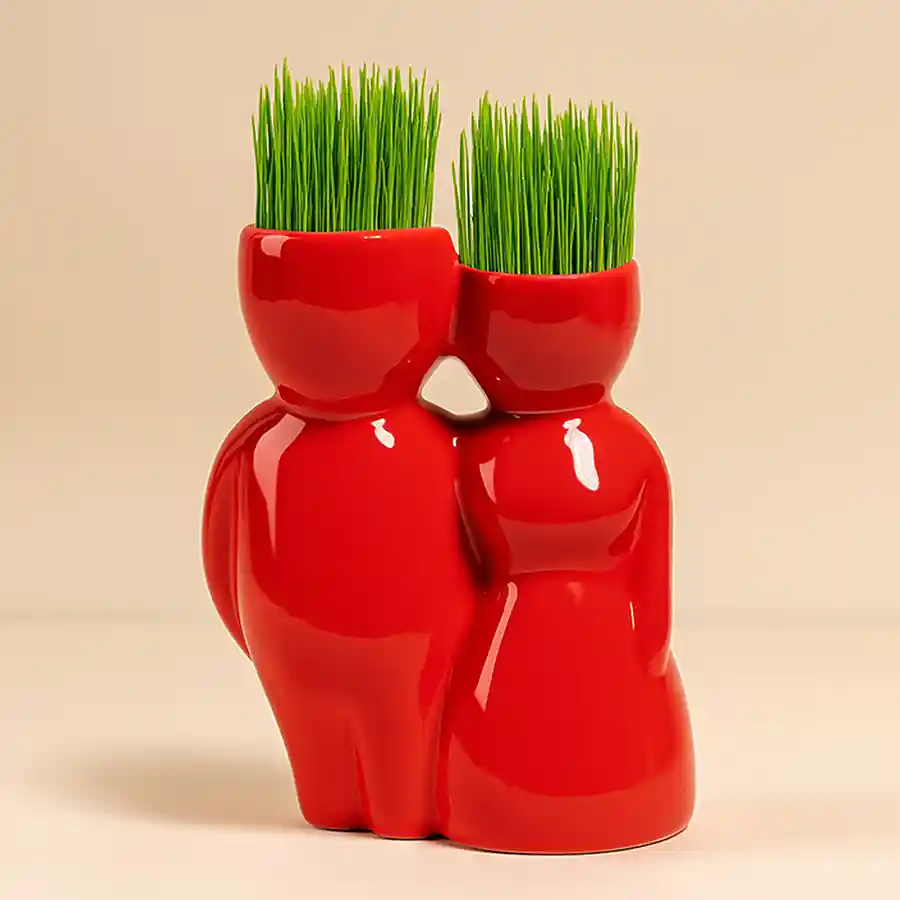Adorable Bonsai Hair Man Set brings joy and charm as a delightful gift.