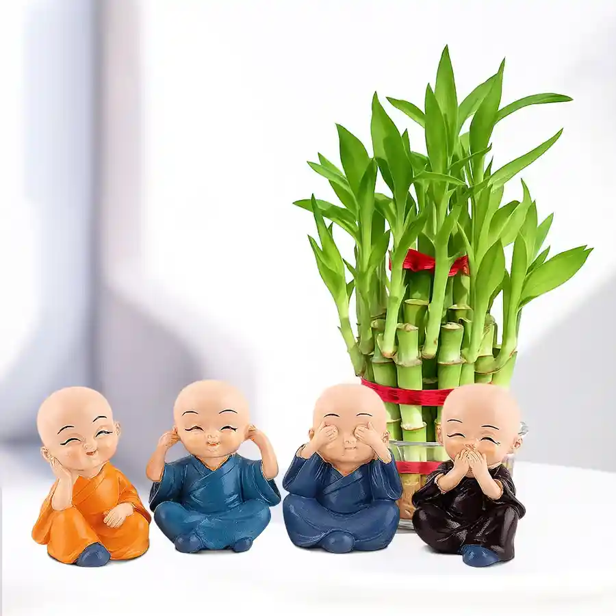 Two Tier Bamboo Plant in Glass Pot with Laughing Buddha Set (6 pcs).