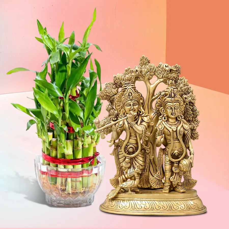 Radiant Radha Krishna gift set featuring a metal murti and a two-layer bamboo plant in a glass pot.
