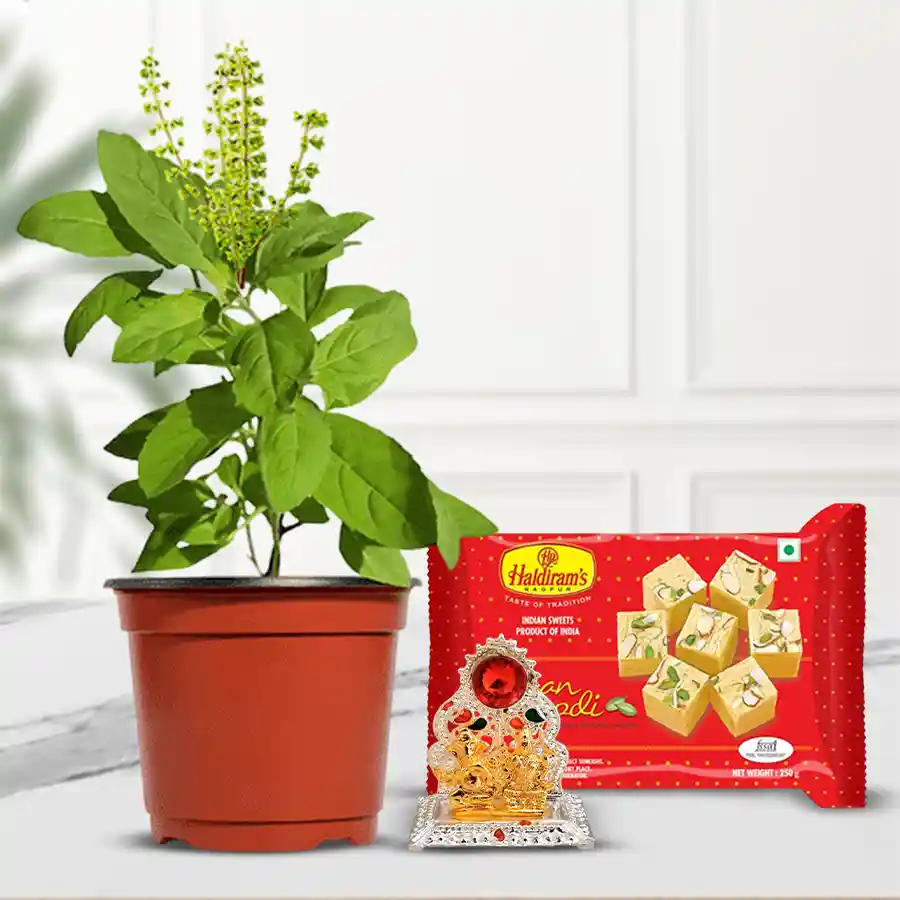 Spiritual gift of Holy Tulsi Plant with sweets and Ganesh Laxmi Mandap.