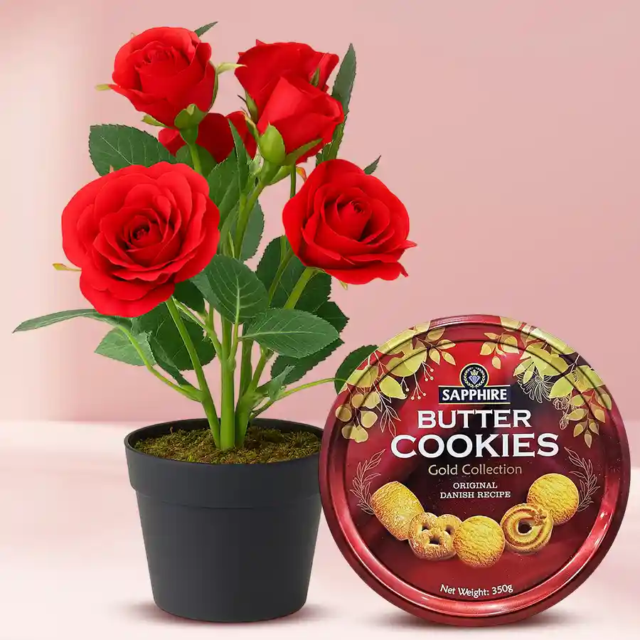 A vibrant Red Rose Plant in a plastic pot paired with delicious Sapphire Danish Cookies, an ideal gift for conveying love and affection.