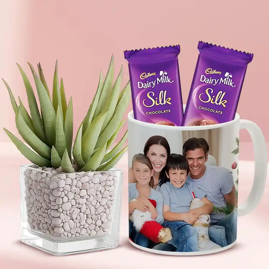 Aloe Vera plant in a personalized mug paired with Cadbury chocolates, perfect gift set for loved ones.