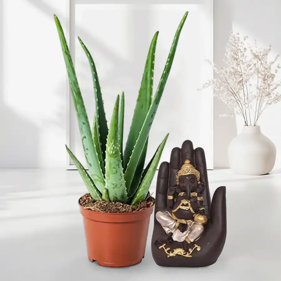 Potted Aloe Vera plant with a handcrafted Palm Ganesha in a brown pot.