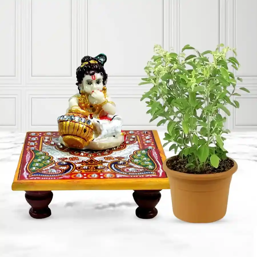 Aesthetic Tulsi Plant in a brown plastic tub alongside a Marble Krishna Chowki, symbolizing peace and wellness.
