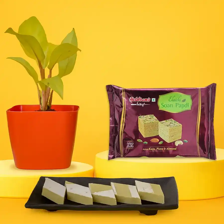 Air Purifying Philodendron Plant with Kaju Katli and Soan Papdi treats in a white tub.