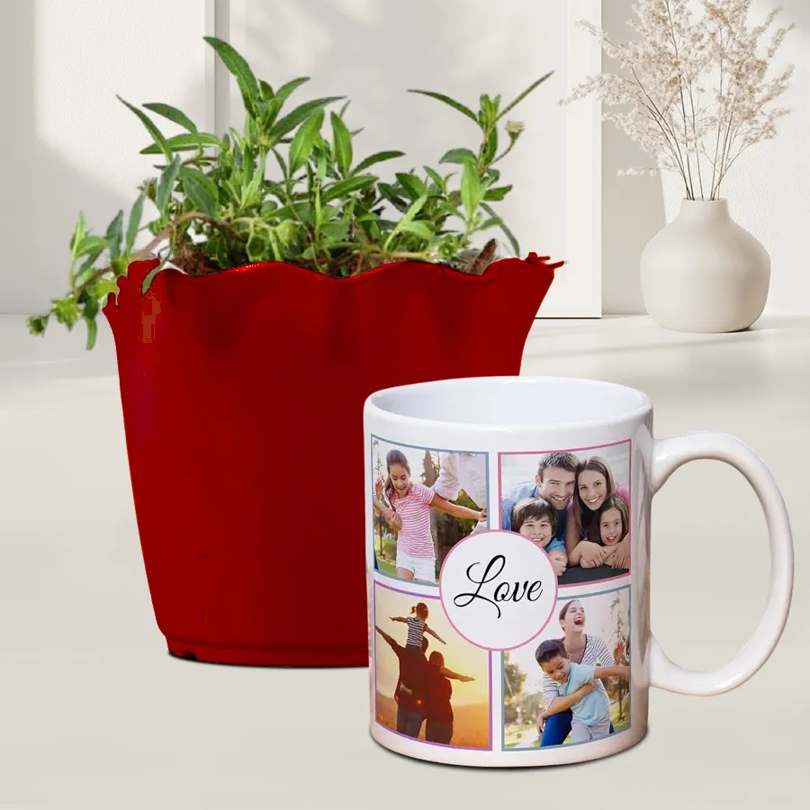 Vringraj plant in a brown pot paired with a personalized coffee mug, perfect for indoor or outdoor spaces.