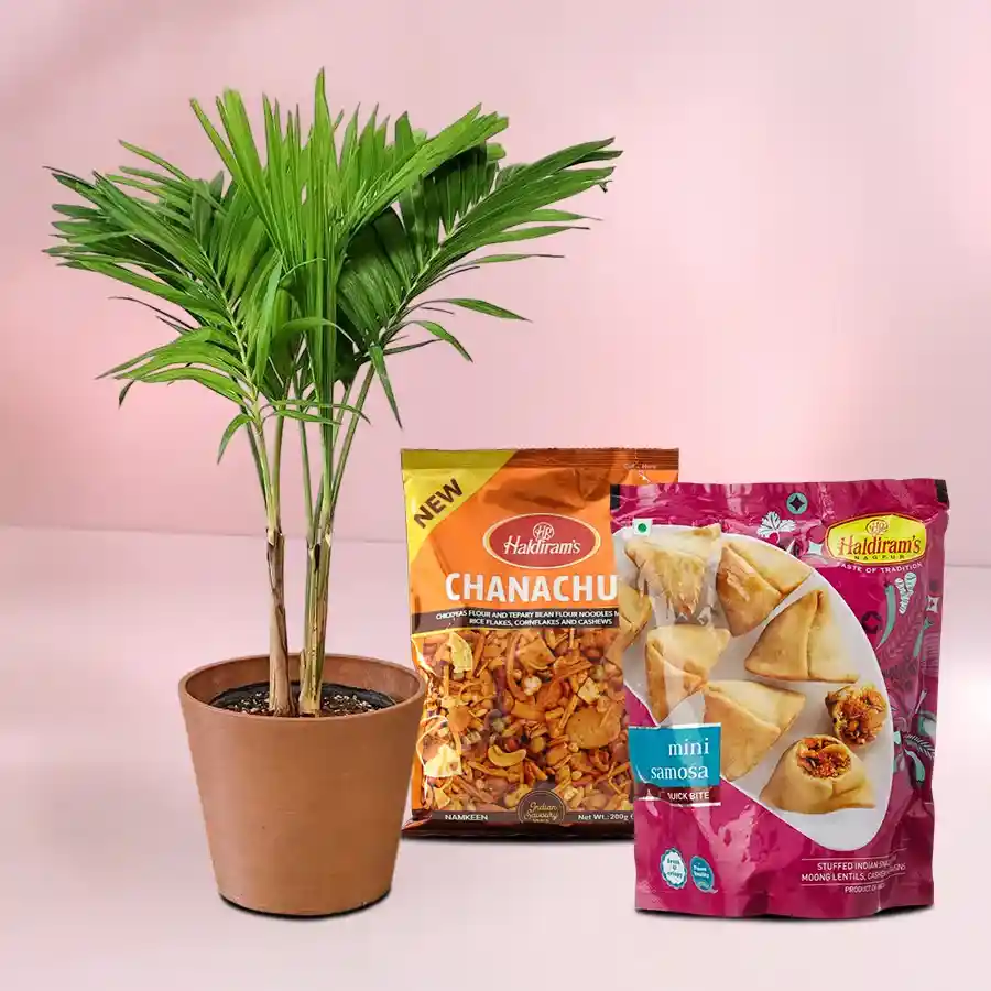 Cheerful Christmas Palm Plant with assorted snacks in a rustic pot.