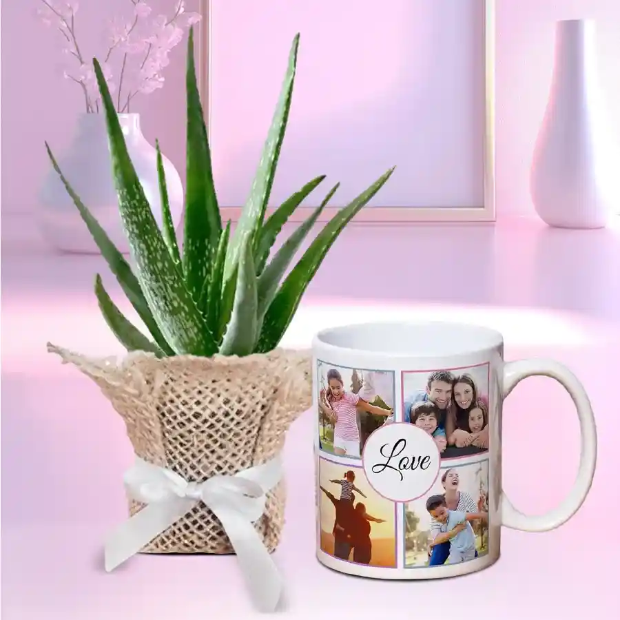 Evergreen jute-wrapped aloe vera plant with a customizable coffee mug duo.