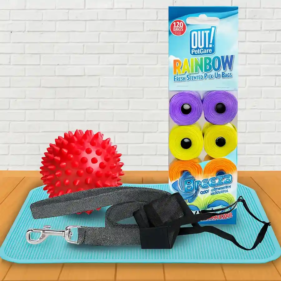 Pawsitive Puppy Training Essentials Set including leash, waste bags, muzzle, training mat, and squeezy ball for pet lovers.