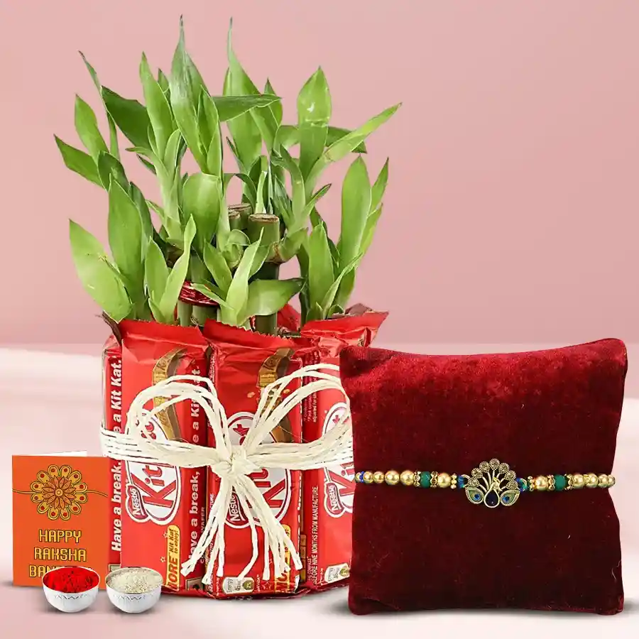 Exceptional KitKat Arrangement with 12 KitKats and a 2-Tier Lucky Bamboo Plant