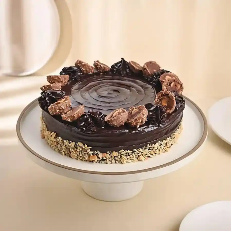 Luxurious Ferrero Rocher Choco Cake, a special 500g treat perfect for celebrations.