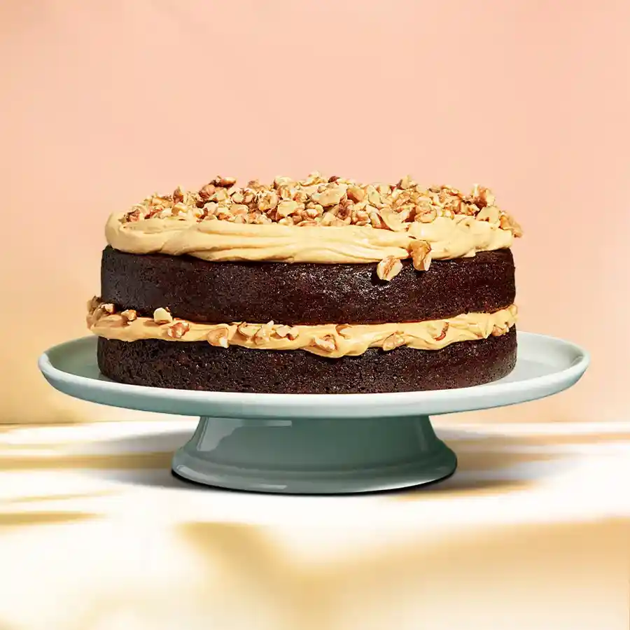 Irresistible Choco-Walnut Treat Cake, rich chocolate and walnuts.
