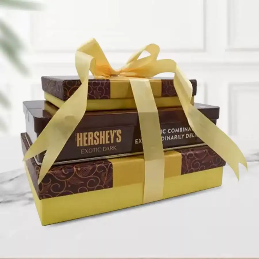 Delicious Chocolate N Nuts Tower Treat Combo with salted nuts, dried fruits, and Hershey's Kisses Exotic Dark Chocolate