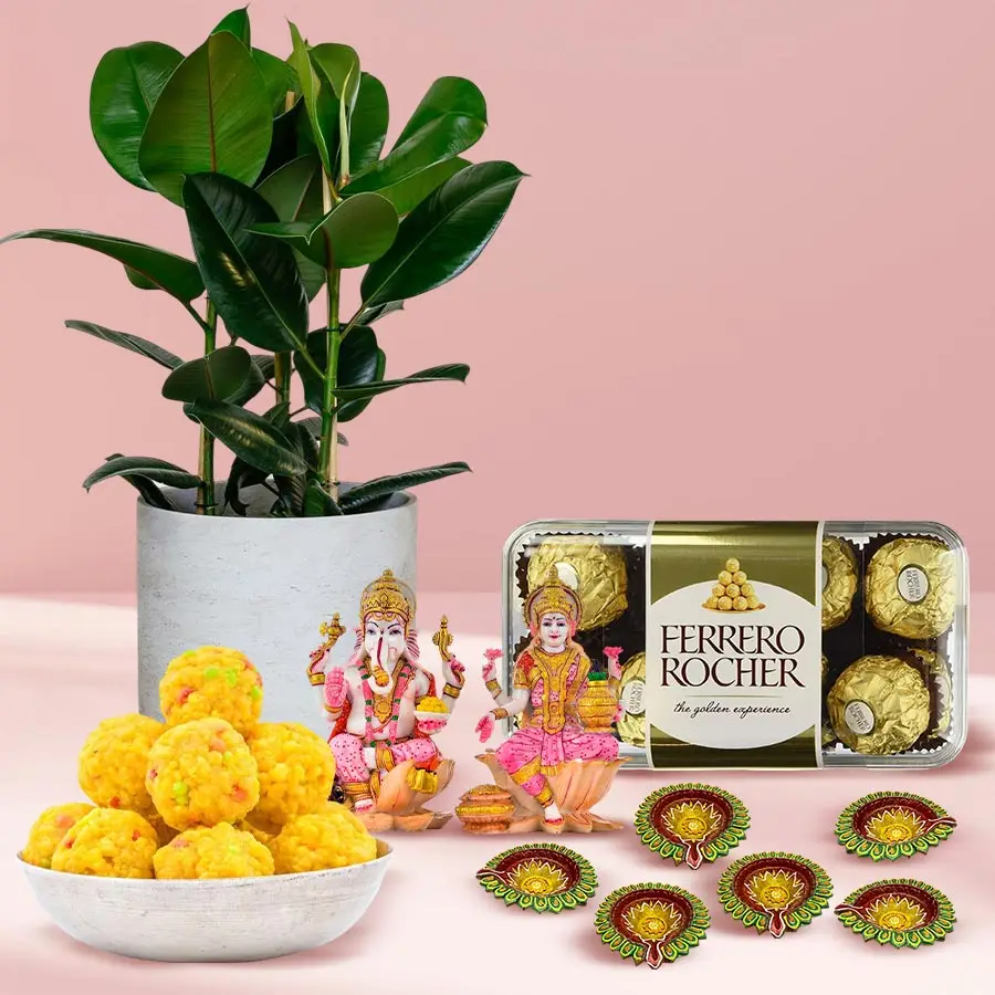 A festive Diwali gift combo featuring a rubber plant, Ferrero Rocher chocolates, a Ganesh Laxmi idol, boondi ladoos, and decorative mud diyas.