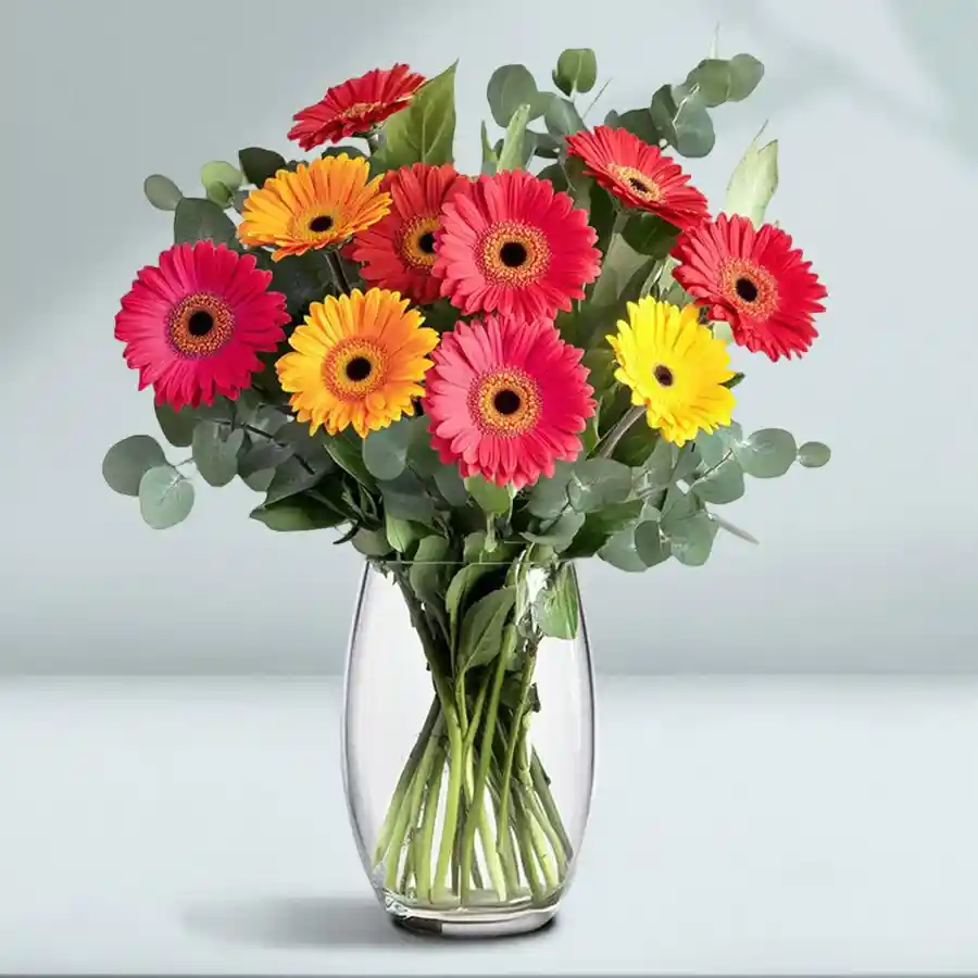 Bright and cheerful arrangement of 15 fresh Gerberas in a large vase, perfect for gifting.