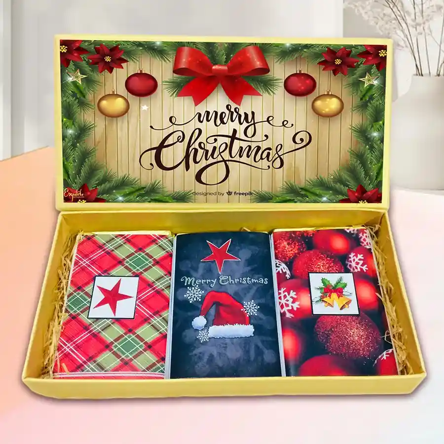 Festive Fusion Chocolate Bars Box with three 50g bars featuring roasted dry fruit, cranberry, and butterscotch flavors, packaged in a Merry Christmas-themed box