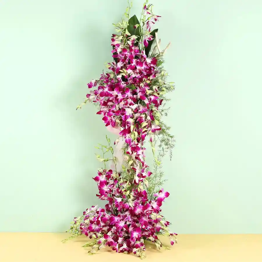 An elegant tall arrangement featuring 30 stunning orchid stems, perfect for bringing joy and sophistication.