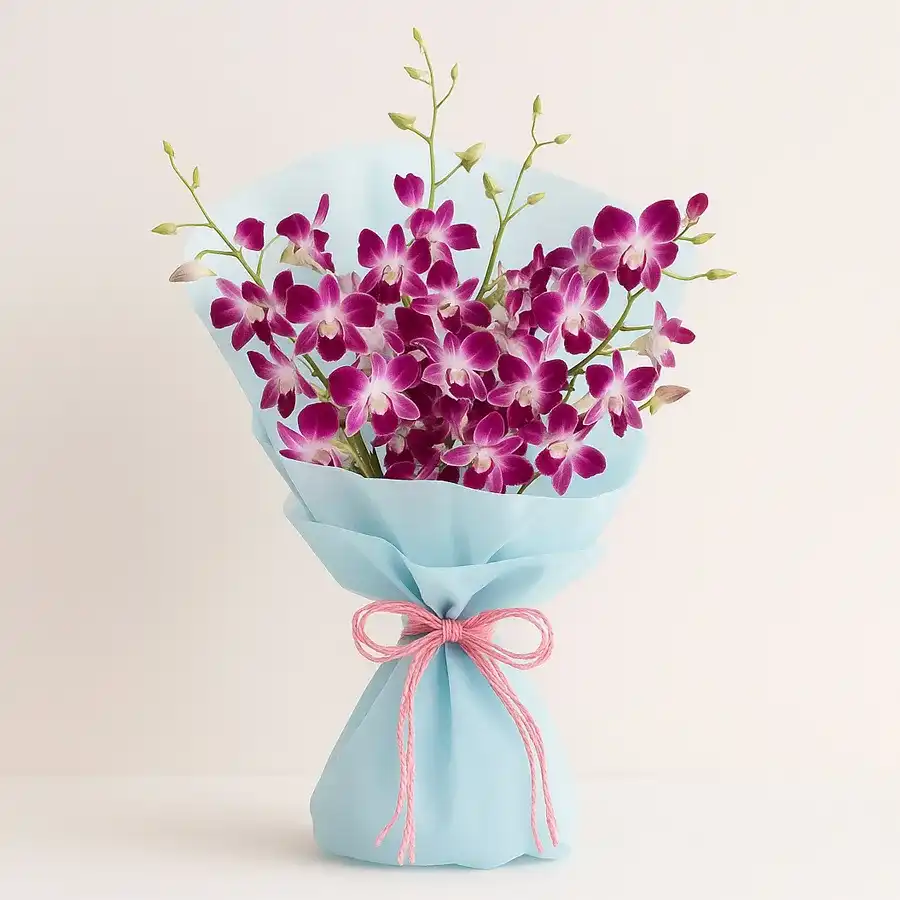 Opulent Purple Orchid Collection for Gifts