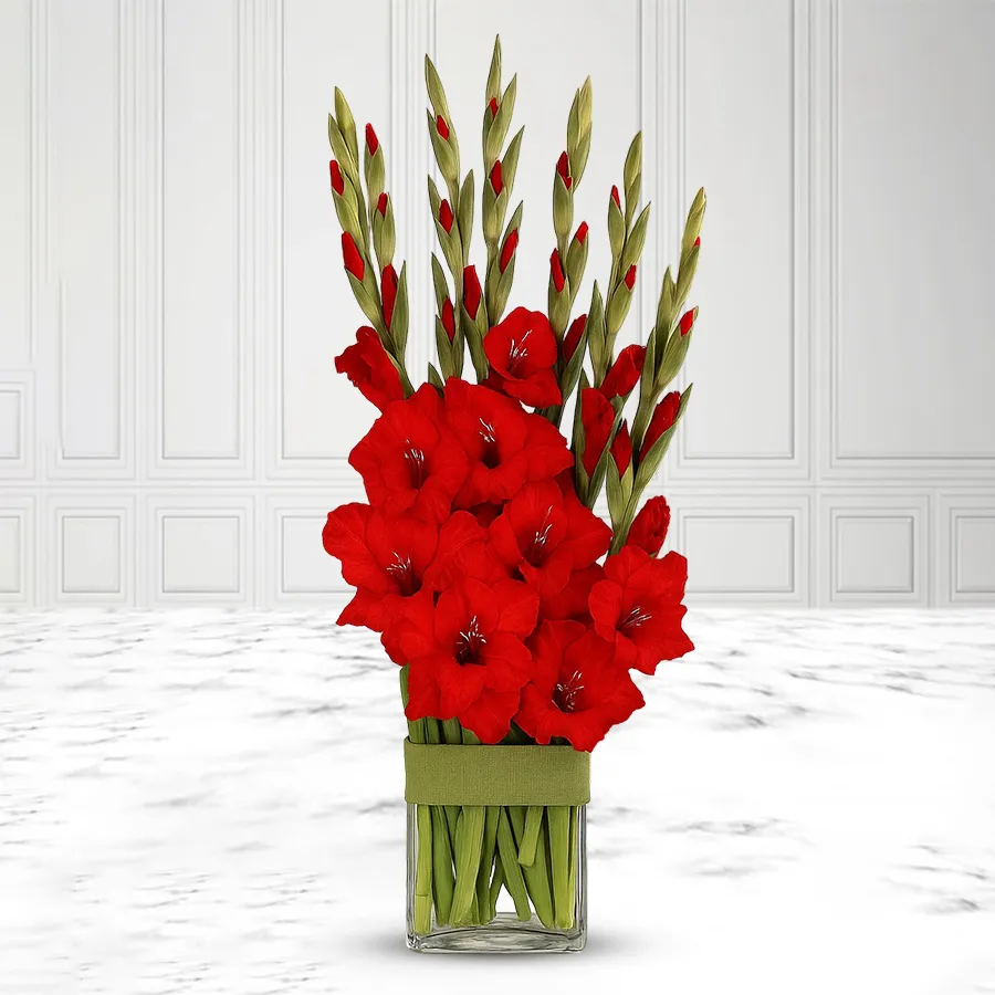 Arrangement of 8 red gladiolus flowers in a glass vase, showcasing elegance and vibrancy.