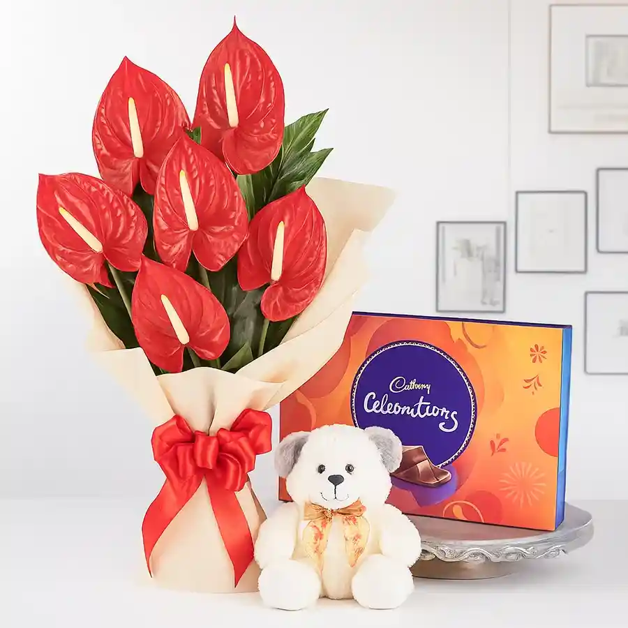 Anthurium bouquet, teddy bear, and chocolate gift combo in vibrant presentation.