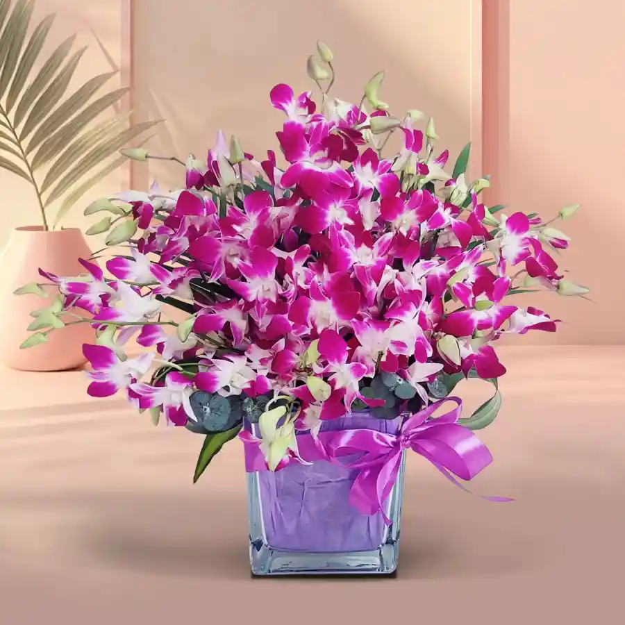 Vase filled with 12 purple orchids, perfect for gifting on special occasions.