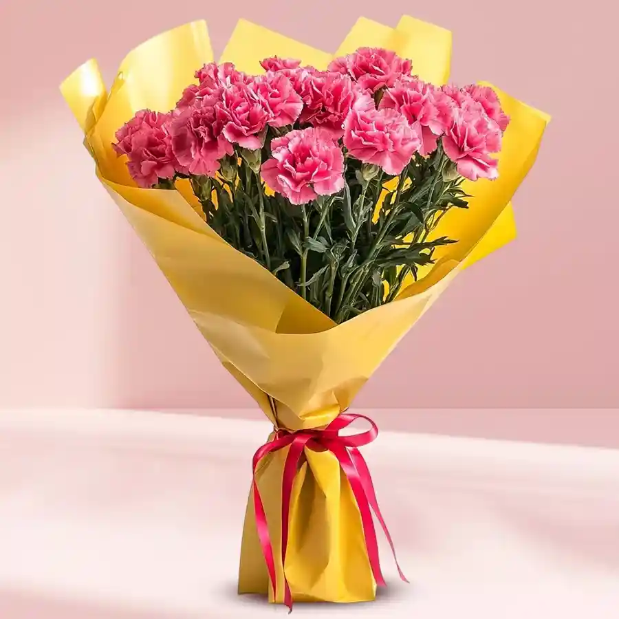 A bouquet of 24 pink carnations arranged beautifully, symbolizing love and joy.