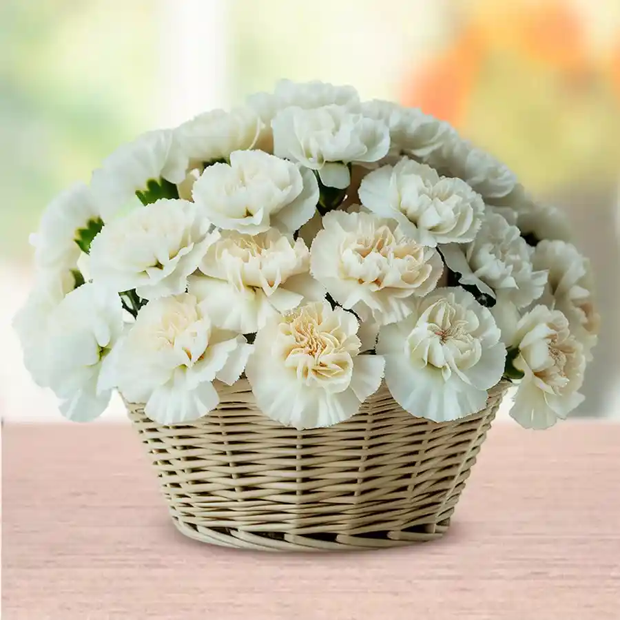 A beautifully arranged basket of 15 white carnations, perfect for gifting on special occasions.