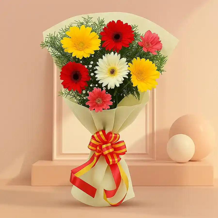 A bouquet featuring 12 colorful gerberas tied with classic tissue, perfect for gifting.