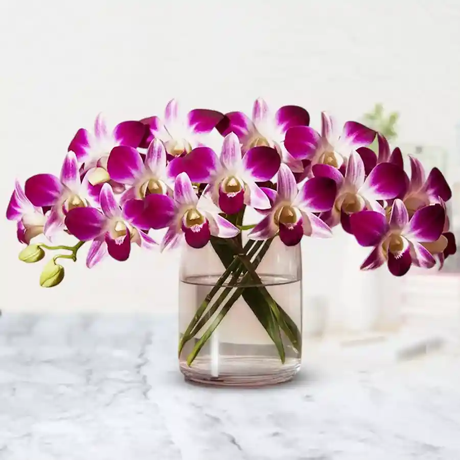 Ten stunning orchids arranged in a chic glass vase, showcasing vibrant colors and elegance.