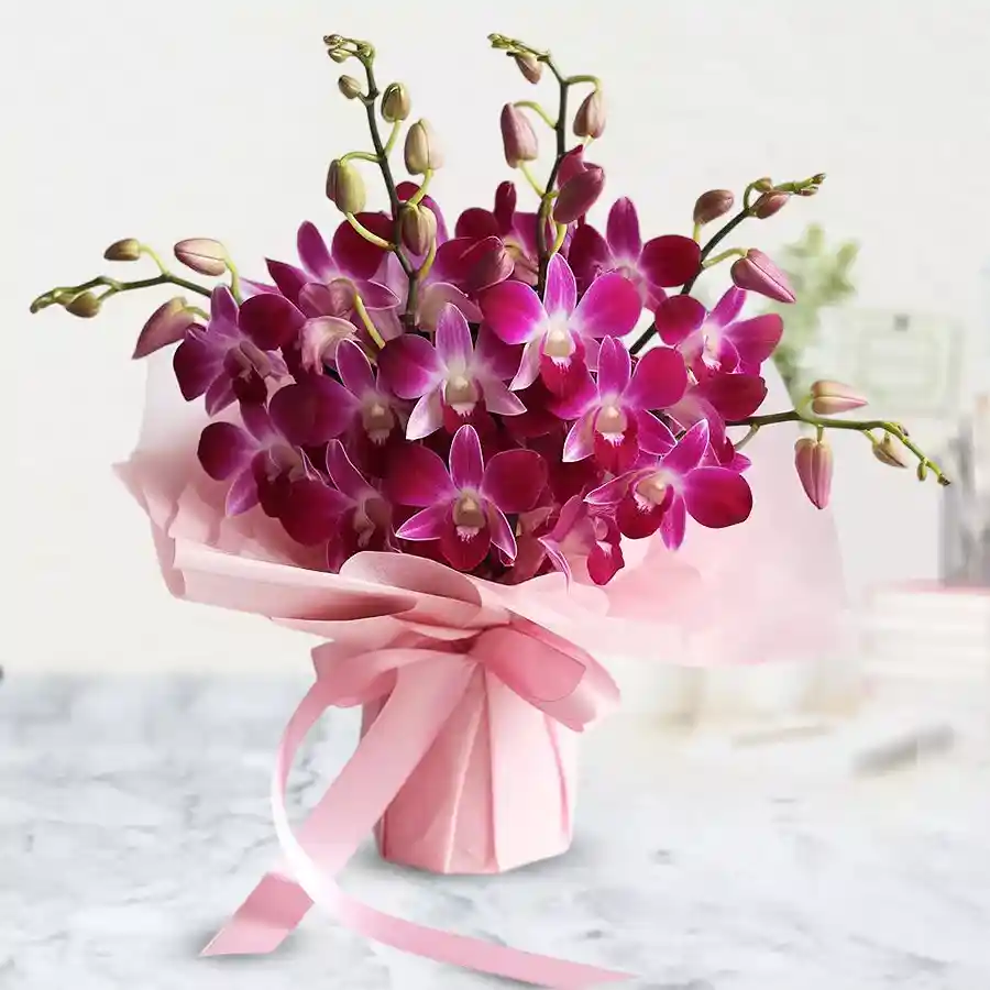 A vibrant bouquet featuring 12 beautiful orchids, ideal for special occasions and spreading joy.