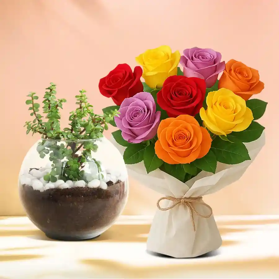 Botanical Jade Plant in a glass planter with a bouquet of 10 colorful roses.