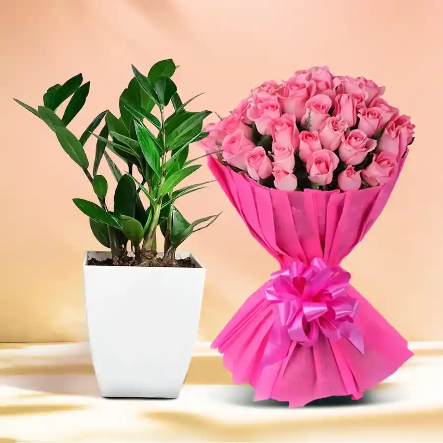 Charming combo of a Zamia plant and a bouquet of 12 pink roses in a plastic pot.