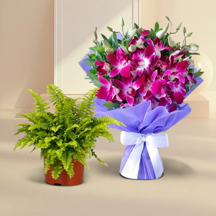 Indoor Bostern fern and 10 orchids bouquet in a plastic pot.