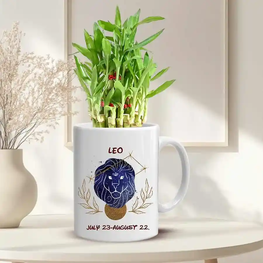 Lucky Bamboo Tree arranged in a decorative Sunsign Mug, showcasing vibrant green leaves and an elegant astrological design.