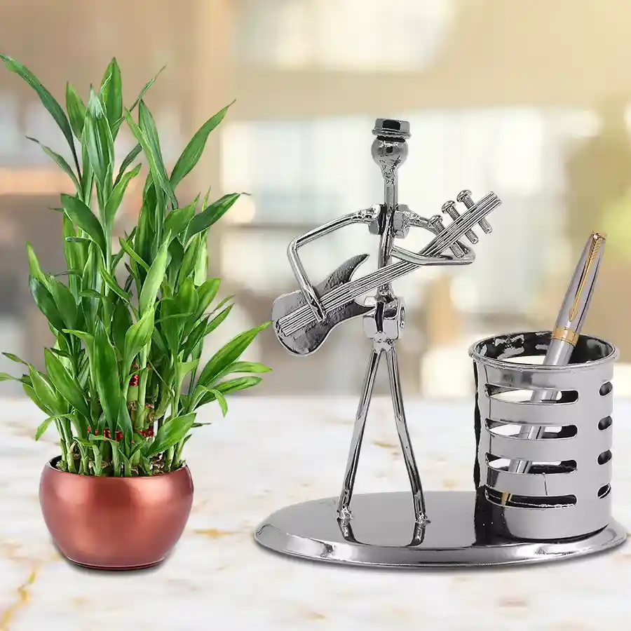 Amazing Good Luck Combo Gift for Him featuring a Parker Beta Ball Point Pen, Designer Pen Stand, and a 2-tier Lucky Bamboo Plant.
