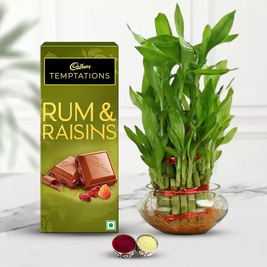 Gift set featuring a 2-tier Lucky Bamboo Plant, a box of Cadbury Temptation Rum & Raisin chocolates, and a complimentary Bhai Dooj Tika and Chawal