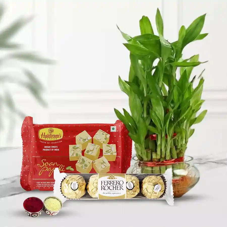 Eco Friendly Assortment Gifts for Bhai Dooj featuring a 2-tier Lucky Bamboo Plant, four Ferrero Rochers, and 200g of Haldirams Soan Papdi with a Bhai Dooj Tika and Chawal.