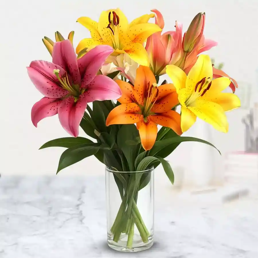 Arrangement of 6 vibrant Color Lilies in a glass vase, ideal for gifts.