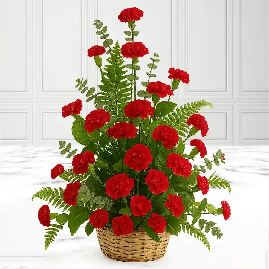Gorgeous basket filled with 12 red carnations for Mother's Day gift.