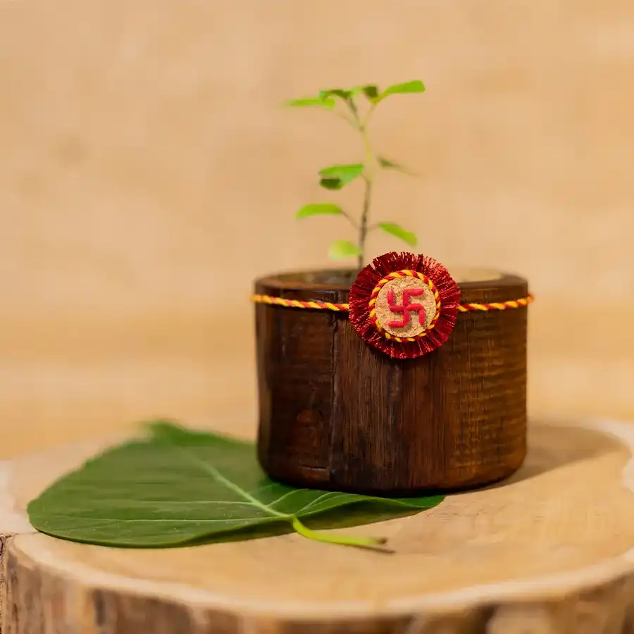 Eco-Friendly Swastik Rakhi Set featuring plantable rakhi and greeting card.