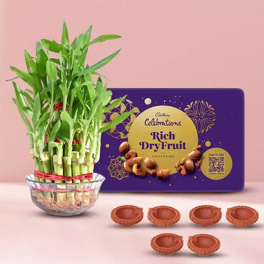 Eco-friendly Diwali gift hamper featuring Cadbury chocolates, Lucky Bamboo plants, and decorative Diyas.