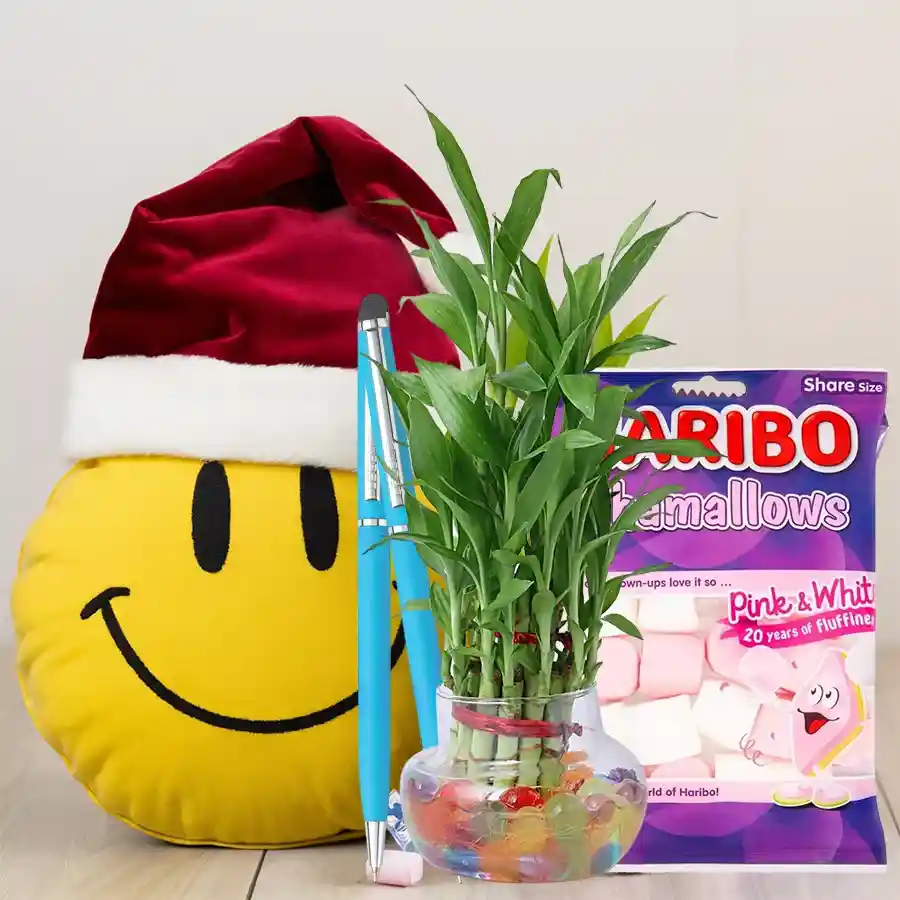 Gift box containing a Smiley Teddy, a set of 2-piece ballpoint pens, a pack of Marshmelts Marshmello treats, and a 2-tier Lucky Bamboo Plant arranged in a vibrant setting.