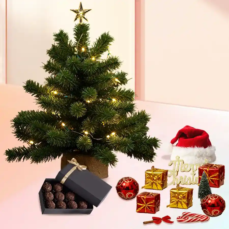 Handmade rum-filled chocolates set with Christmas decorations and a tree centerpiece
