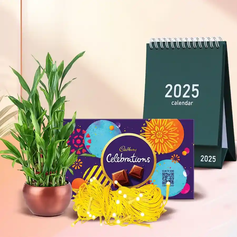 Lucky Bamboo plant with LED lights and Cadbury Celebration chocolates in a gift combo with a desk calendar