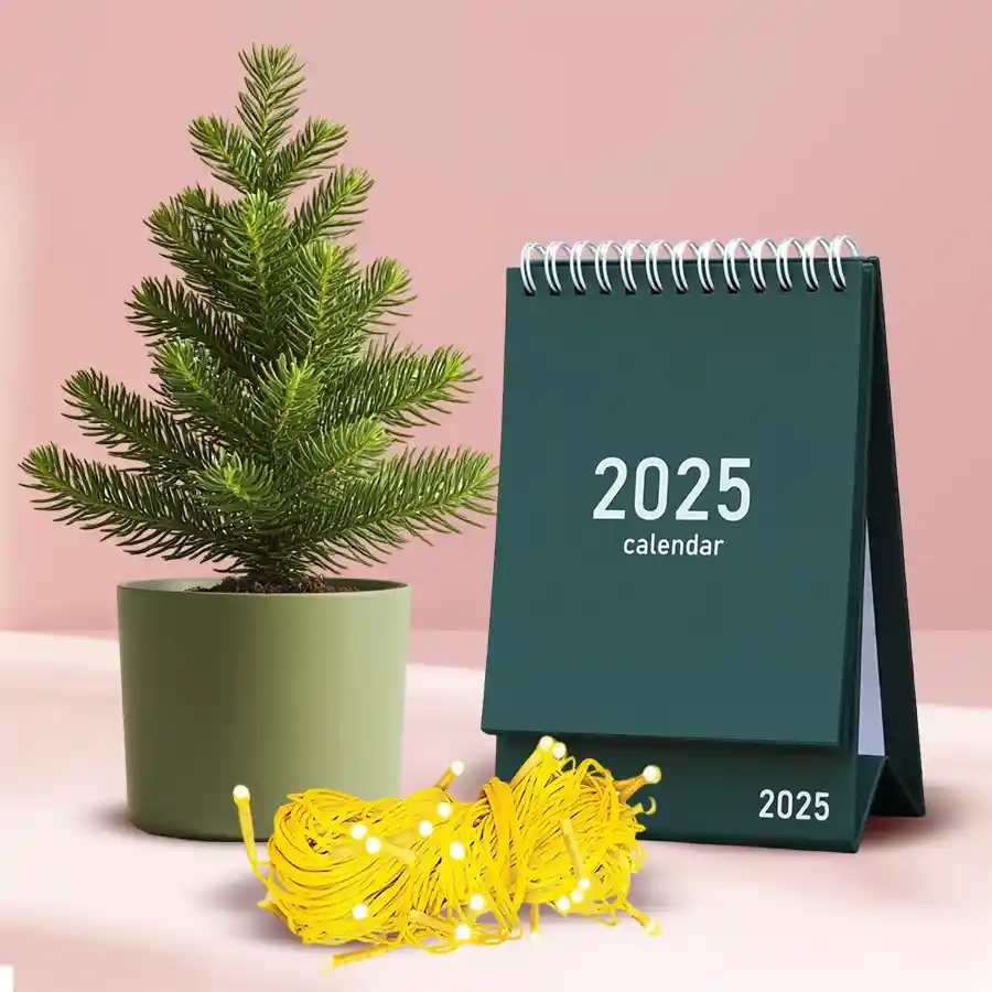Marvelous Plants Gift Combo featuring an Araucaria potted plant, an LED chain light, and a stylish desk calendar on a decorative surface.