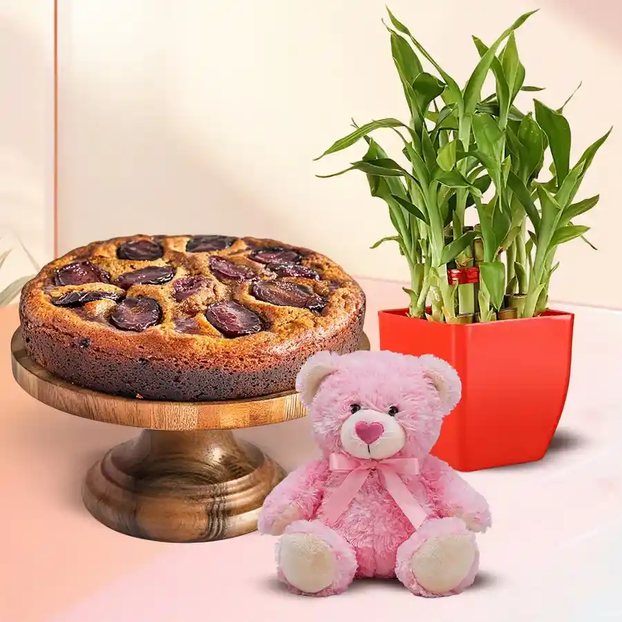 Lucky Bamboo Plant, Plum Cake, and two ballpoint pens arranged in a festive gift combo